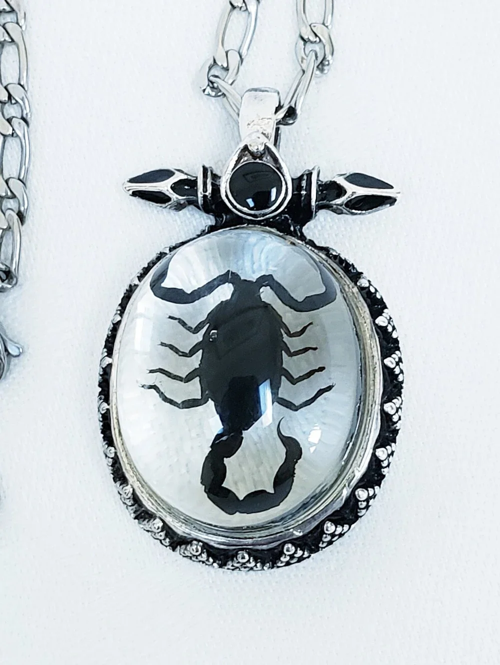 N/A genuine scorpion
